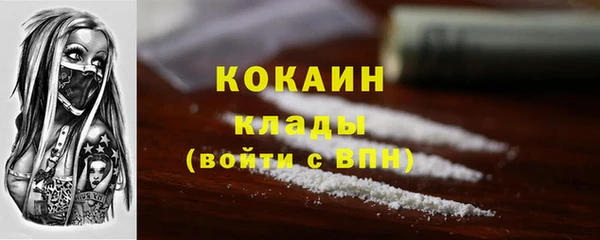 mdpv Краснослободск