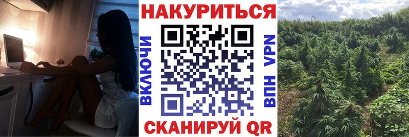 как найти закладки Северская Шишки марихуана White Widow